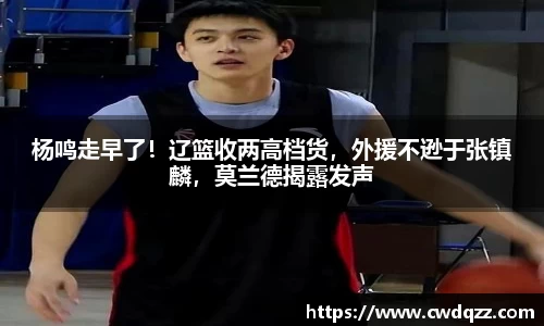 杨鸣走早了！辽篮收两高档货，外援不逊于张镇麟，莫兰德揭露发声